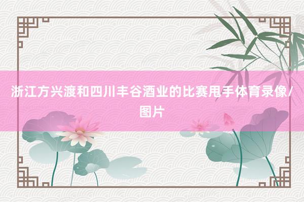 浙江方兴渡和四川丰谷酒业的比赛甩手体育录像/图片