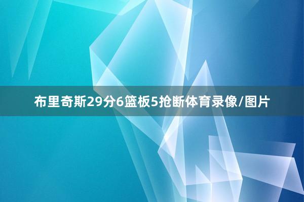 布里奇斯29分6篮板5抢断体育录像/图片