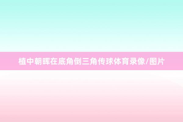 植中朝晖在底角倒三角传球体育录像/图片