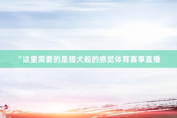 “这里需要的是猎犬般的感觉体育赛事直播