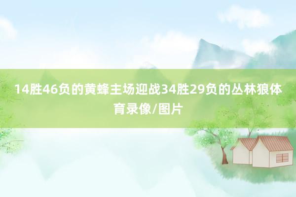 14胜46负的黄蜂主场迎战34胜29负的丛林狼体育录像/图片