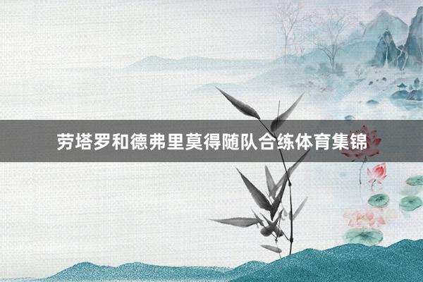 劳塔罗和德弗里莫得随队合练体育集锦